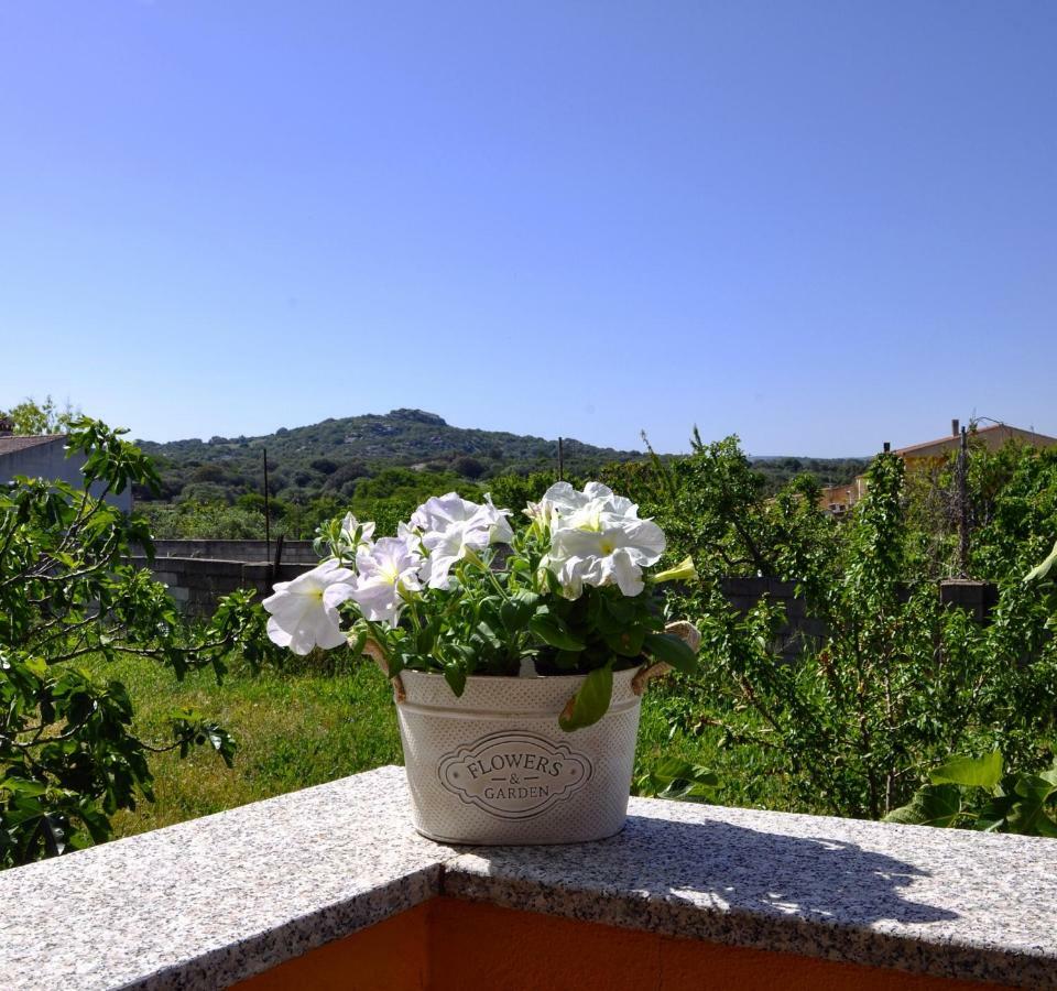 Casa Duminicheddha, Mare E Relax In Gallura Bassacutena 外观 照片