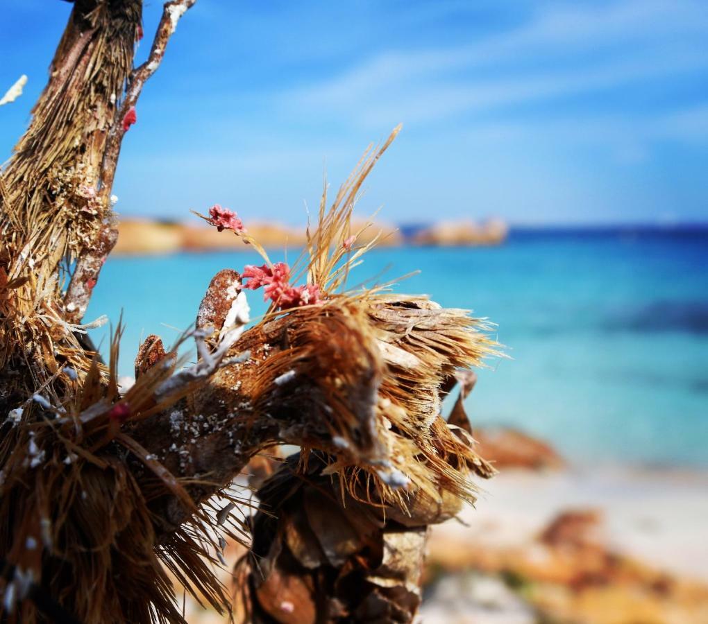 Casa Duminicheddha, Mare E Relax In Gallura Bassacutena 外观 照片
